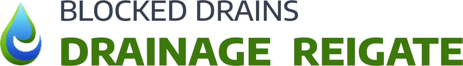 website logo